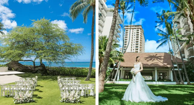 カヴェヘヴェヘ・ウエディング