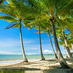 オーストラリア ニュージーランド