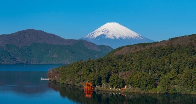 国内その他ウェディング