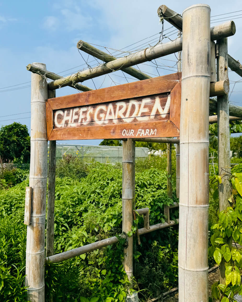 写真:自家農園「OUR FARM」見学