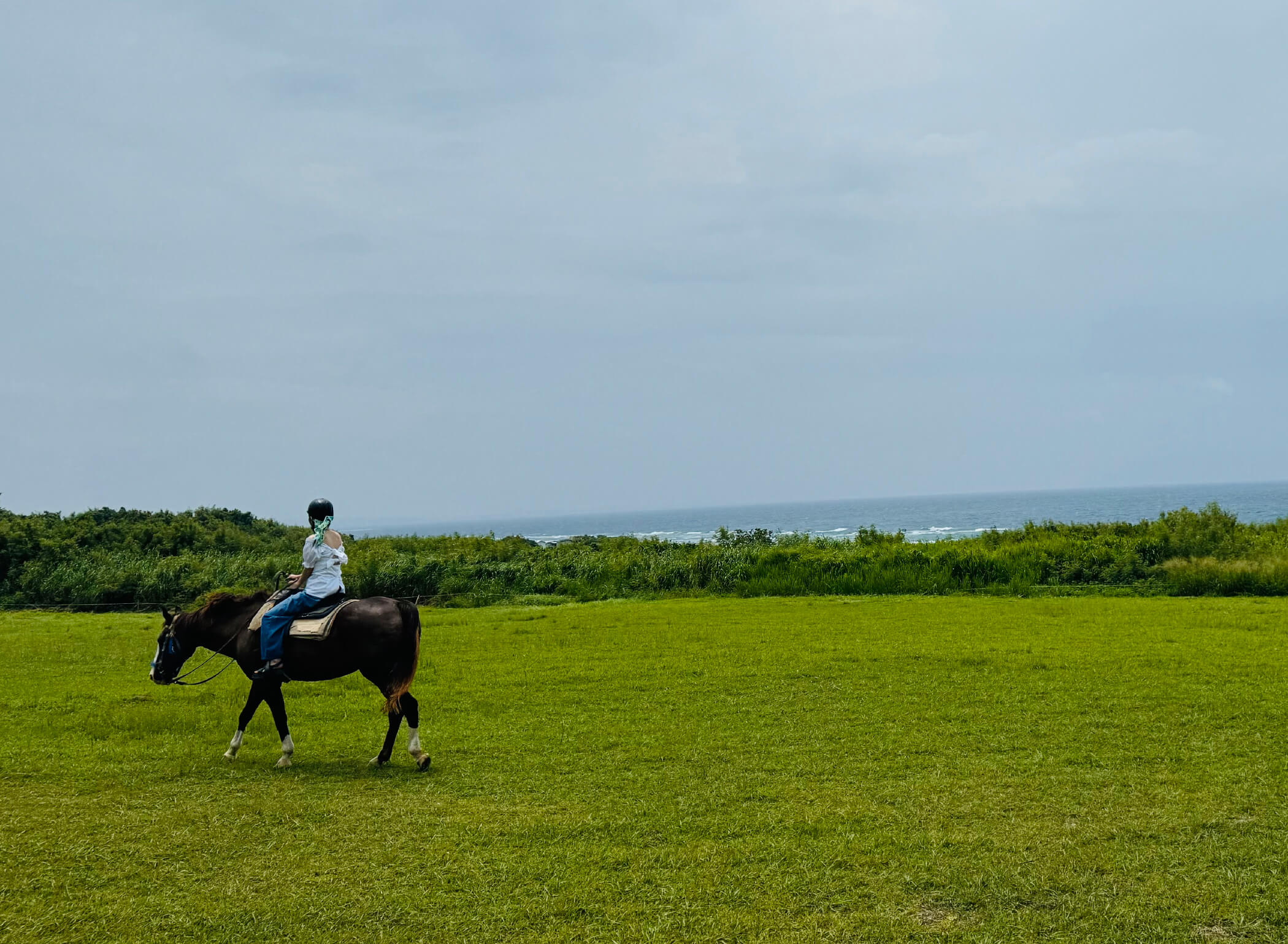 写真:沖縄を感じる乗馬体験