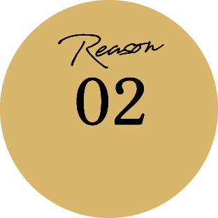 Reason 02