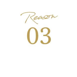 Reason 03