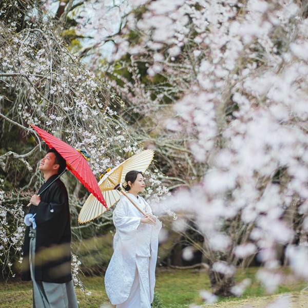 三神峯公園 フォトウェディング