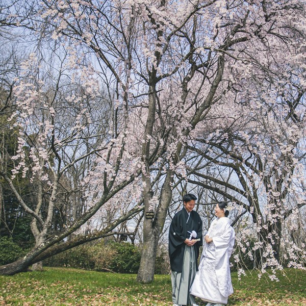 三神峯公園 フォトウェディング