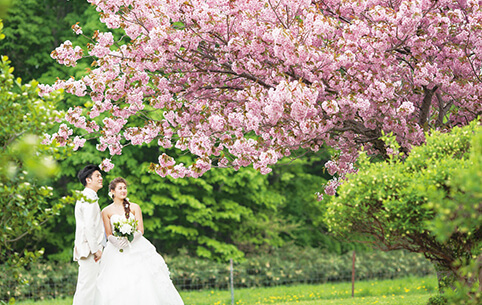 札幌ブランバーチ チャペル 前撮り フォトウェディング 結婚写真なら ワタベウェディング